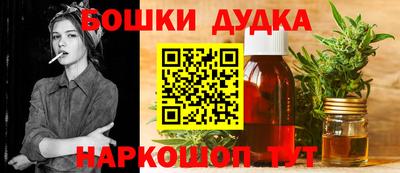 прущие крисы Будённовск