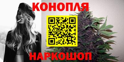 прущие крисы Будённовск