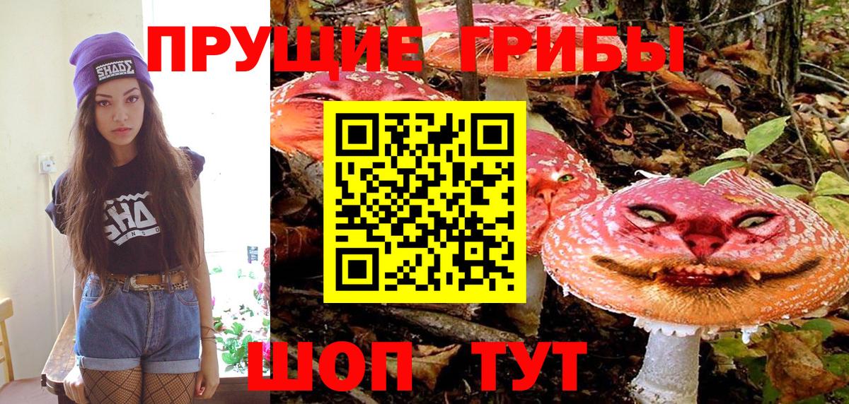 Псилоцибиновые грибы мицелий  Псилоцибиновые грибы Magic Shrooms  Вход с VPN  Клин 