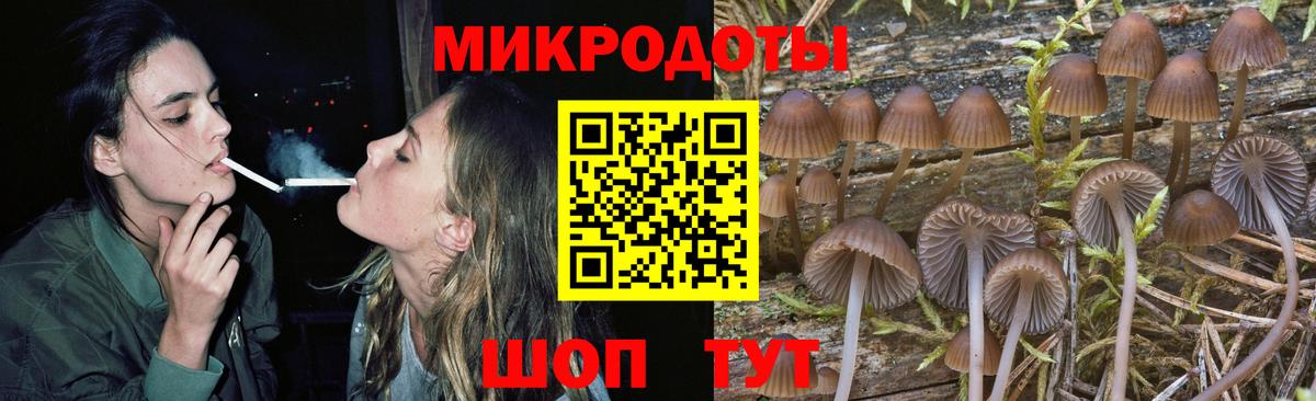 Псилоцибиновые грибы мицелий Клин